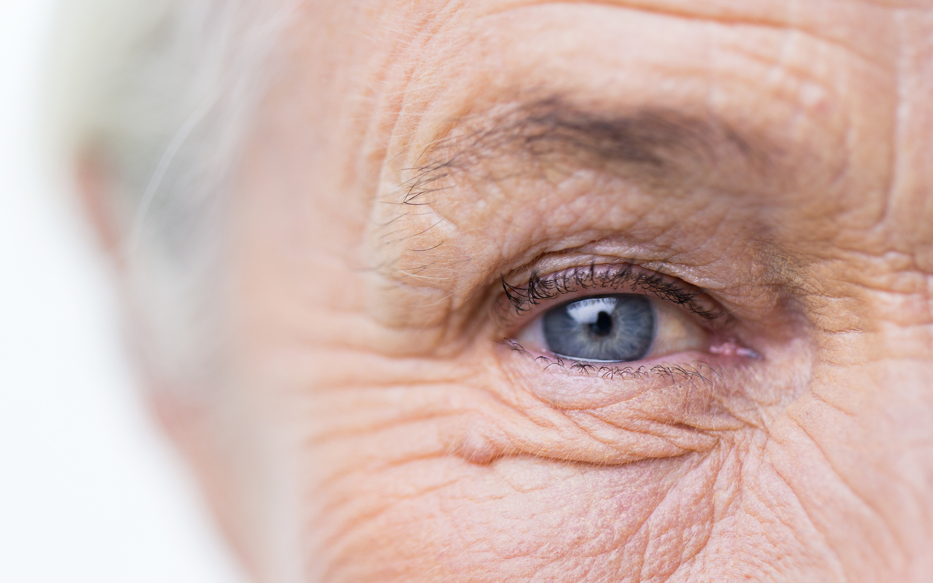 Eye Health for Seniors: How to Maintain Good Vision